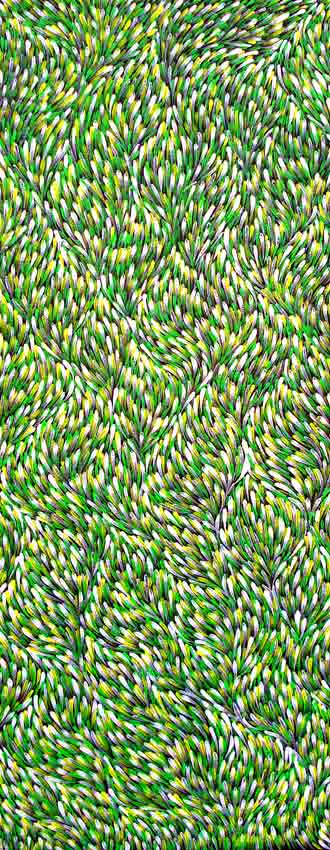 Click to Enlarge: Gloria Petyarre, Bush medicine Leaves CP0709, Synthetic polymer on Belgian linen,152 x 62 cm