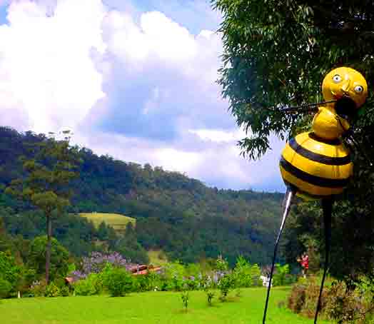 Sculpture - Ideally located, Galeria Aniela fine art gallery and Sculpture Park is set at the backdrop of Kangaroo Valley breathtaking escarpment, enjoying awesome views and many say that the property is a work of art in itself.